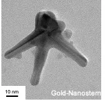 Gold-Nanostern