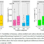 Figure 5 from the publication showing biomass, emission and carbon pools comparing climate zones and land-use types