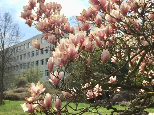 Foto Institut für Romanistik Uni Potsdam