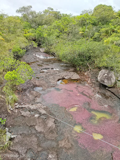 Foto von Caño Cristales Auslandsstudium Philipp Krah