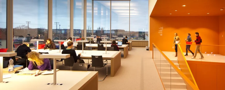 Scholars studying in a university library