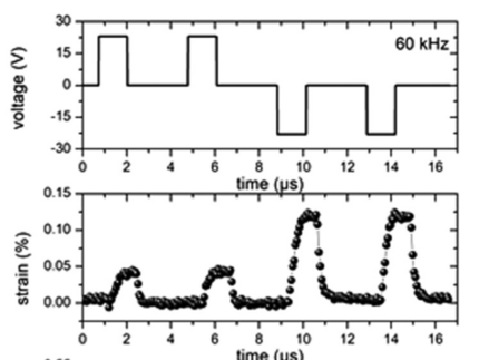 Image of time-resolved piezoelectric response in the investigated relaxor ferroelectric thin films.