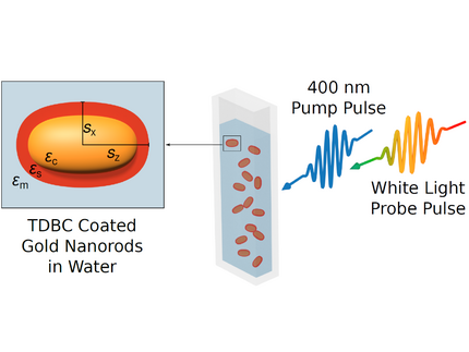 TDBC-coated Gold nanorods dispersed in water being illuminated with ultrashort pulses