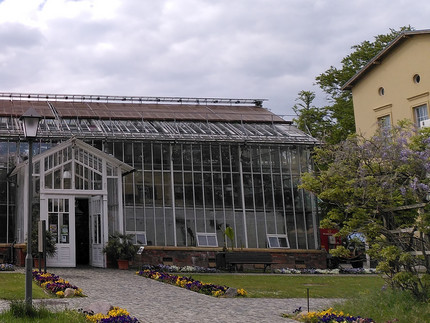 The Botanical Garden on the University of Potsdam
