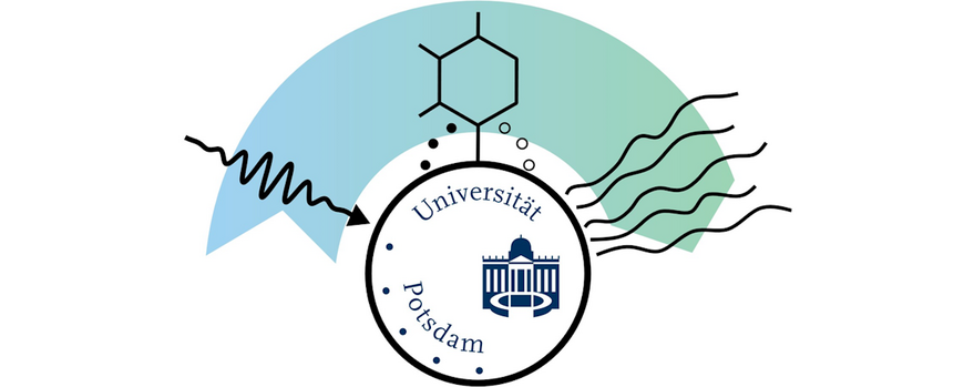 The logo of the CRC 1636 bridging physics and chemistry at metal nanoparticles
