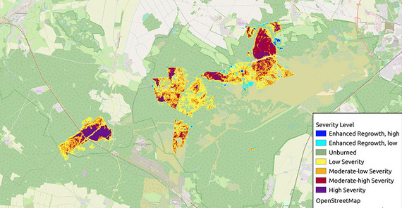 Brandintensität auf den PYROPHOB-Untersuchungsflächen in Treuenbrietzen und Jüterbog auf Grundlage des difference Normalized Burn Ratio (dNBR), berechnet aus Sentinel2 Satellitendaten für die Jahre 2018 und 2019 | Grafik: Antonia Schönberg