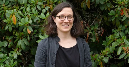 Picture of Prof. Bruttel
