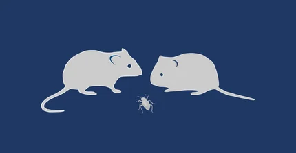 Animal Ecology Logo