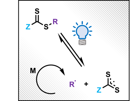 Mechanism of PI-RAFT polymerization