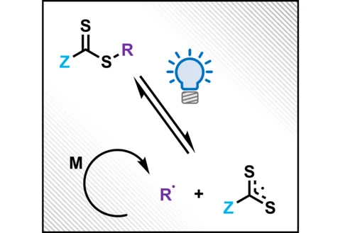 Mechanism of PI-RAFT polymerization