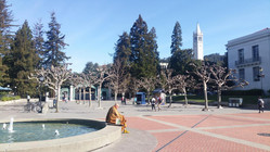 Die University of California, Berkeley. Foto: U. Lucke.