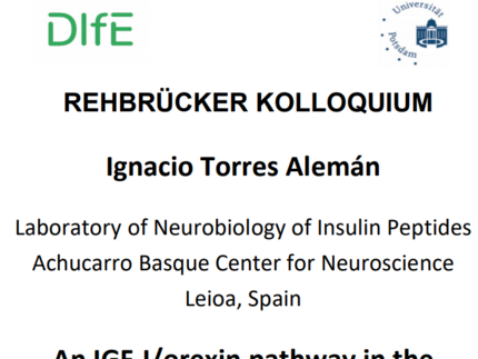 Announcement for the lecture of Ignacio Torres Alemán on the 24.03.2021, 13:00. Topic: An IGF-1/orexin pathway in the body-brain dialog