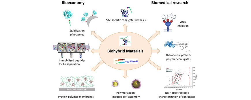 Übersicht der Forschungsthemen der Gruppe Biohybride Materialien