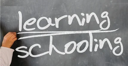 Learning Schooling
