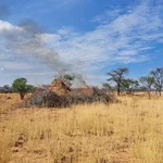 Piles of harvested wood burning in a dry savanna environment