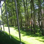 Wäldchen im Innenhof