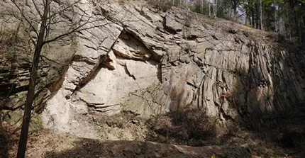 Porphyrfächer Mohorn-Grund