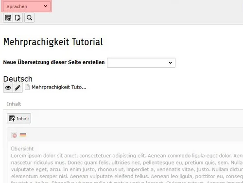 Darstellungsmodus auf Sprachen umstellen