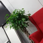 FQ Lounge @ HPI