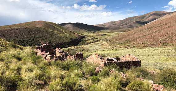 In den argentinischen Anden. Foto: Prof. Dr. Manfred Strecker.