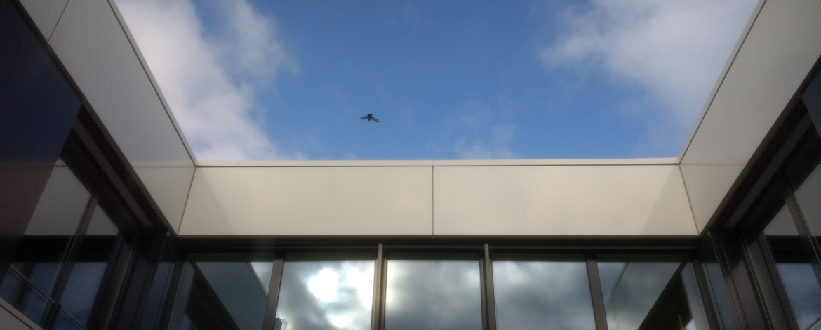 Blick in den Himmel vom Innenhof des Institutsgebäudes - 