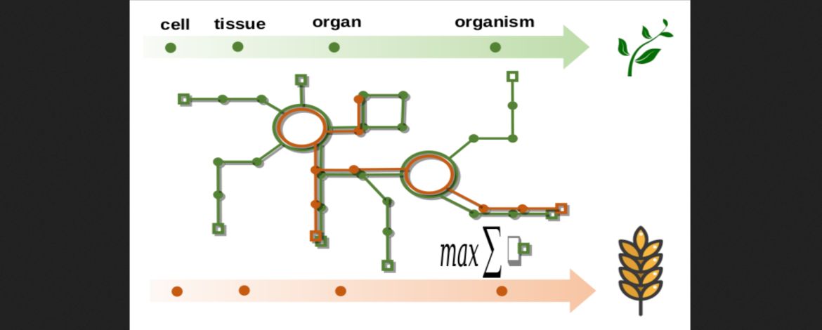 The LOGO of the ESB (Evolutionary Systems Biology) - 