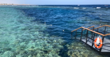 Modern Carbonates Fieldcourse