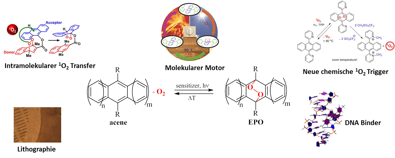 Singulett-Sauerstoff - Forschungsaktivitäten - Organische Chemie