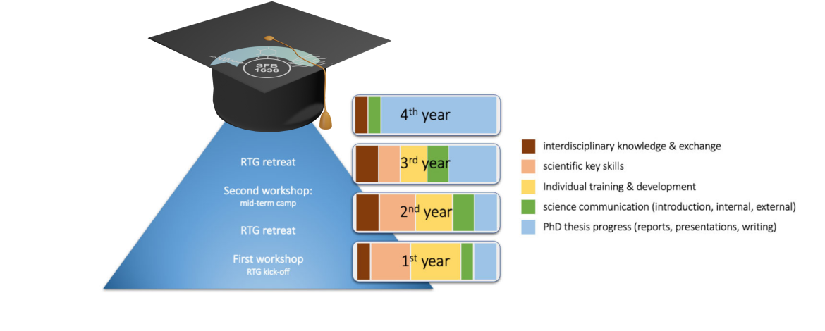 Image of a graduate hat - 