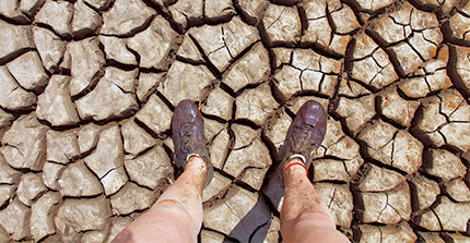 Climate & sustainability lecture series - open to everyone!