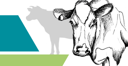 Grafik zum Podcast KlimAgrar