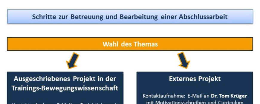 Allocation Of Graduation Theses Teaching Division Of Training And Movement Science University Of Potsdam